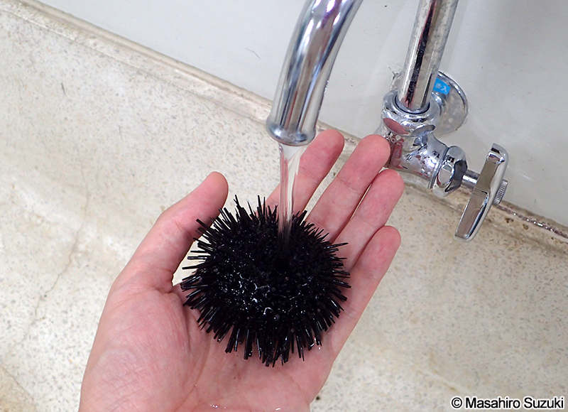 水道水で軽く洗う