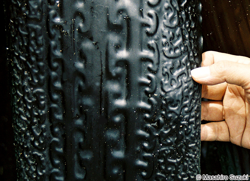 ガゴメコンブ Saccharina sculpela