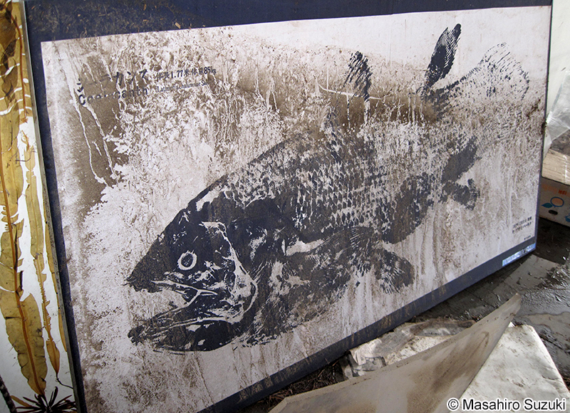 シーラカンスの魚拓のコピー