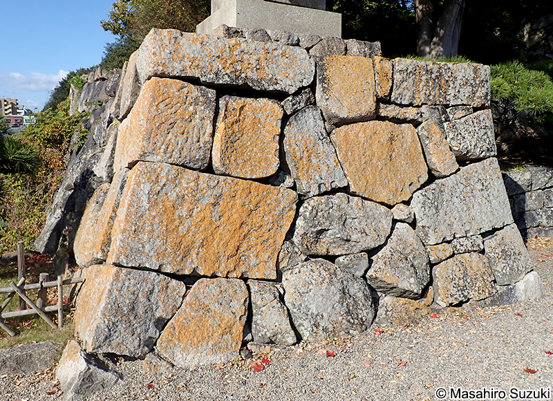 ホシスミイボゴケ Buellia stellulata