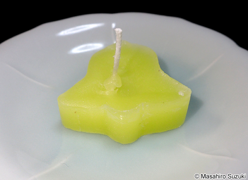 ロウソクゴケのロウソク