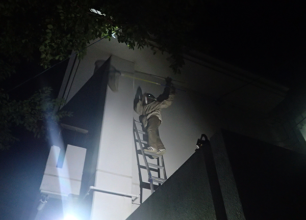 キイロスズメバチの駆除