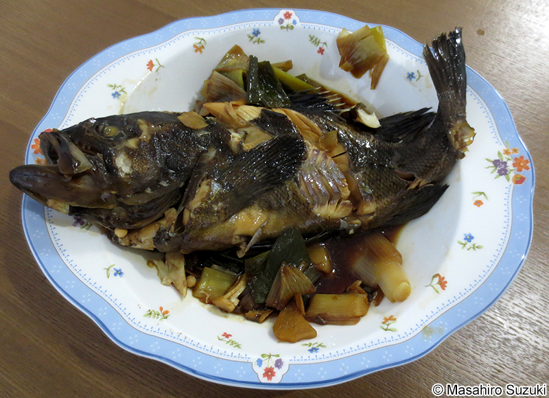 クロソイの煮付け