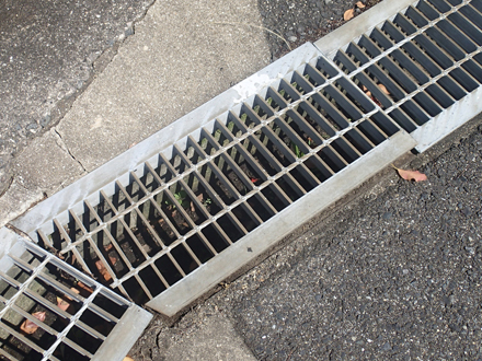 セアカゴケグモがいる側溝