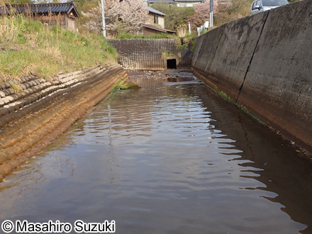 海に通じる水路