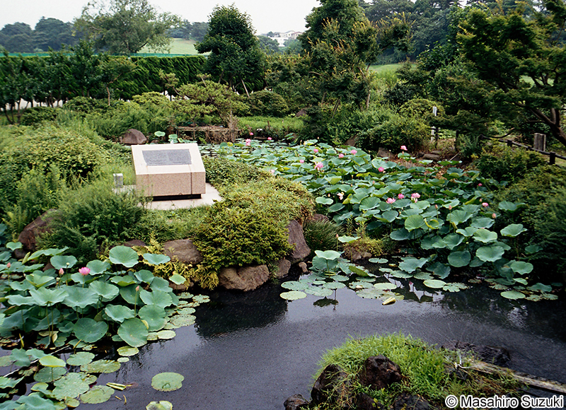 大賀蓮発祥の地
