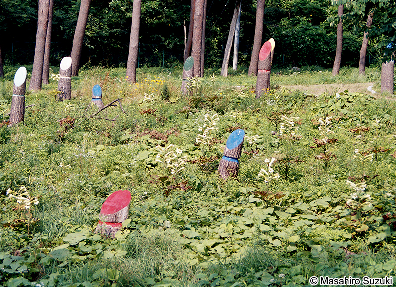ウバユリ Cardiocrinum cordatum