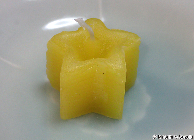 コウロコダイダイゴケのロウソク