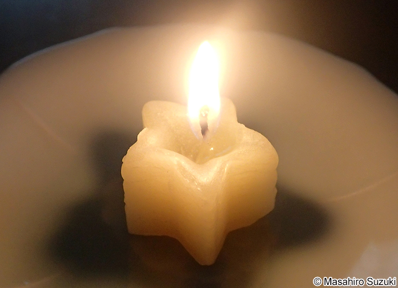 コウロコダイダイゴケのロウソク