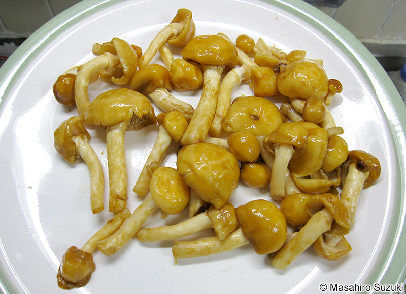 ナメコ Pholiota microspora