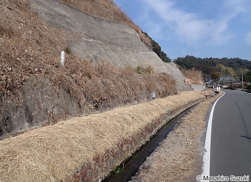 オキチモズクが生育していた水路